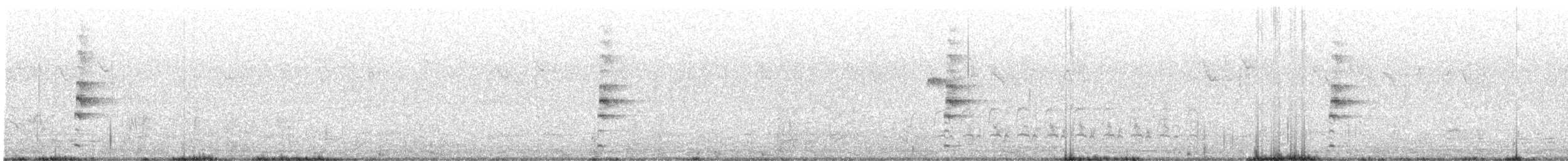 灰胸秧雞 - ML544283491