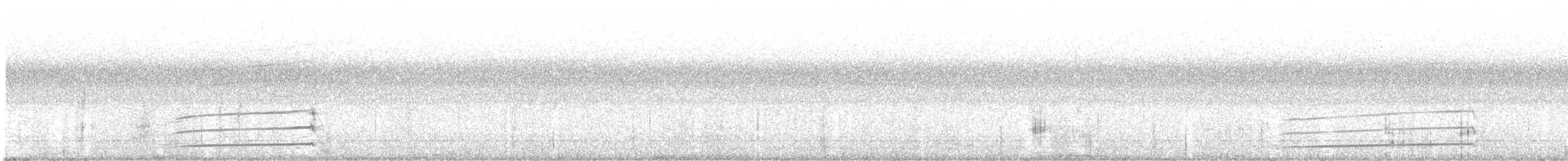 sokol stěhovavý (ssp. peregrinator) - ML544290281