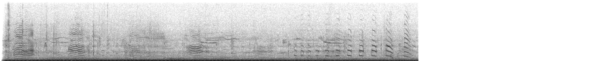 פורפיריה אפורת-ראש - ML544336361