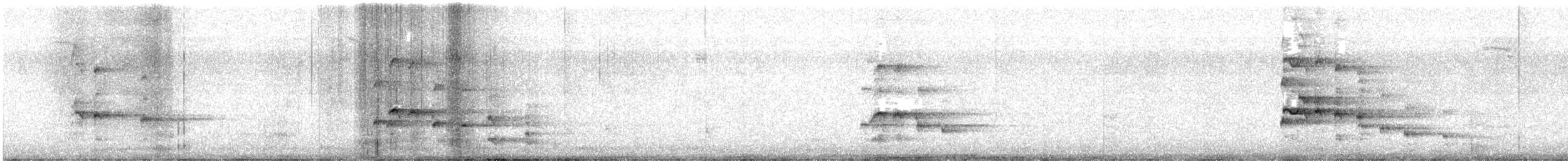 orel bělohlavý - ML544401171