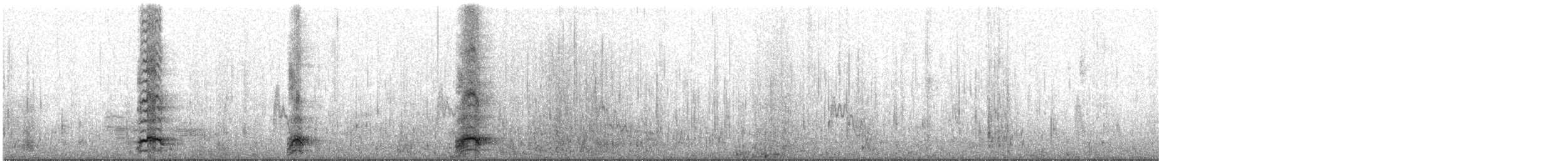 Nachtreiher (falklandicus) - ML544419541