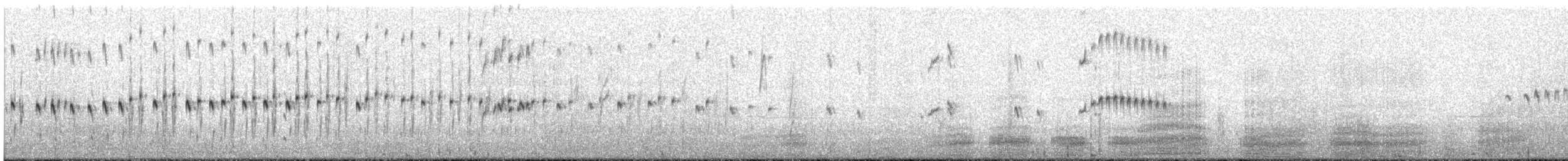 Karaca Sinklot (antarcticus) - ML544419771
