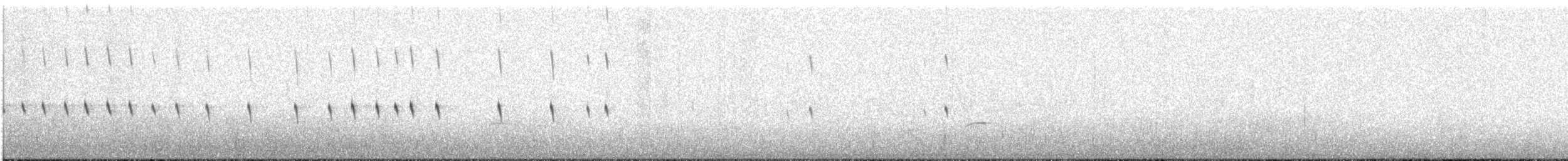 Cinclode fuligineux (antarcticus) - ML544419811