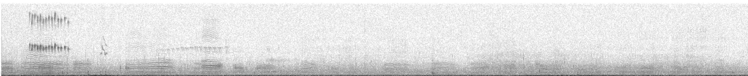 Тёмная трясохвостка (antarcticus) - ML544419831