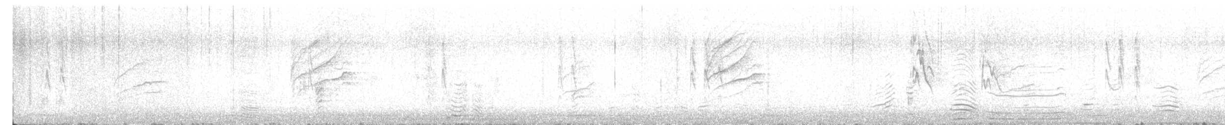 Pine Siskin - ML544490011