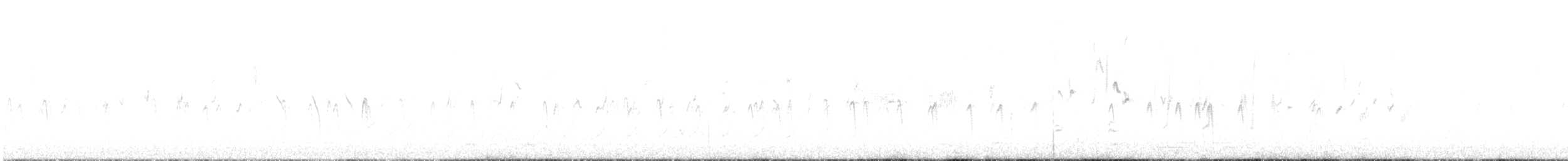 Шишкар ялиновий - ML544490221