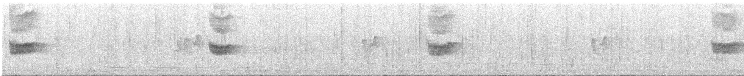 白斑紫嘯鶇 - ML544498111
