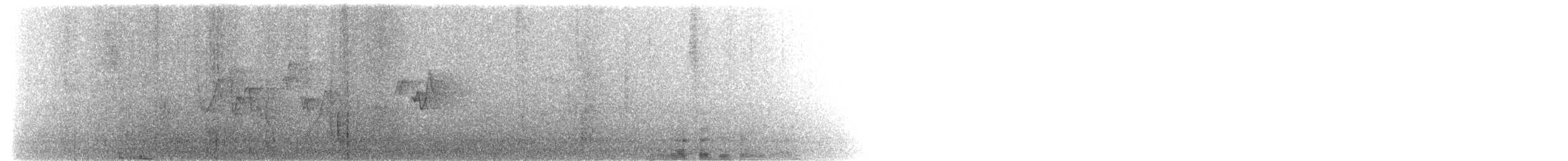 Spot-breasted Wren - ML544512851