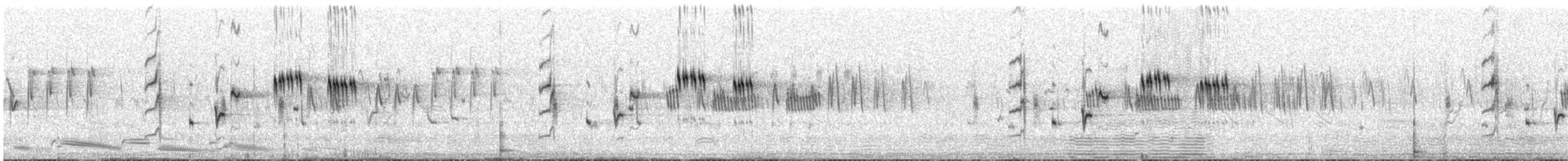 Singing Bushlark (Australasian) - ML544539601