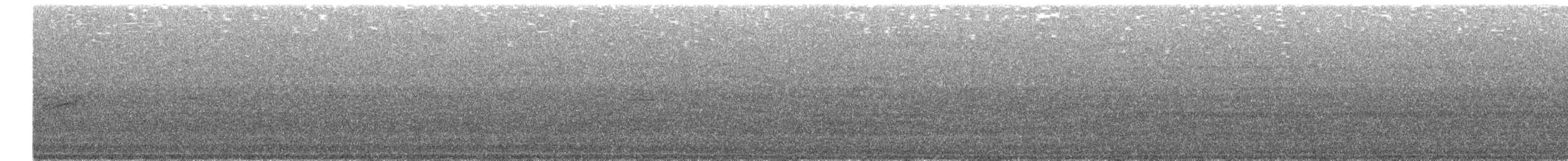 Mirlo Acuático Pardo - ML544572711
