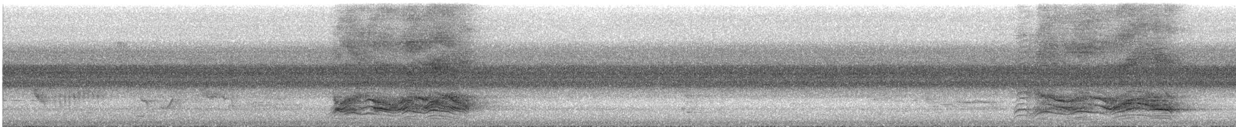 Нявкун перлистоволий - ML544582001