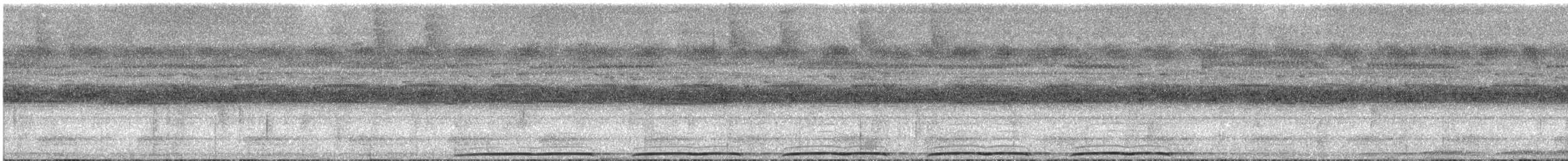 Білоніг новогвінейський [група ocellatus] - ML544589721