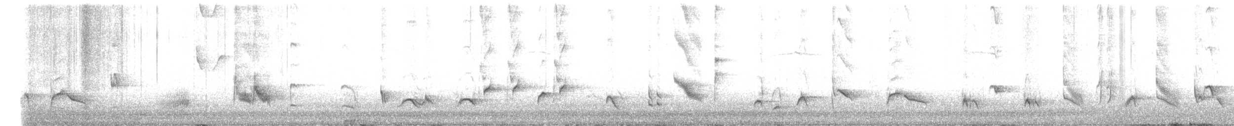 Длинноклювый пересмешник - ML544615921