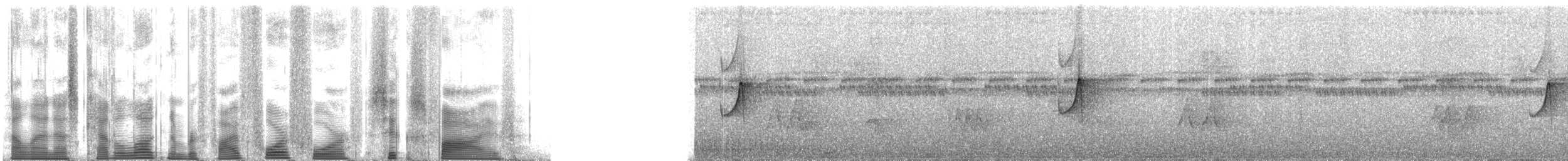 ホオジロカマドドリ（minutus） - ML54465