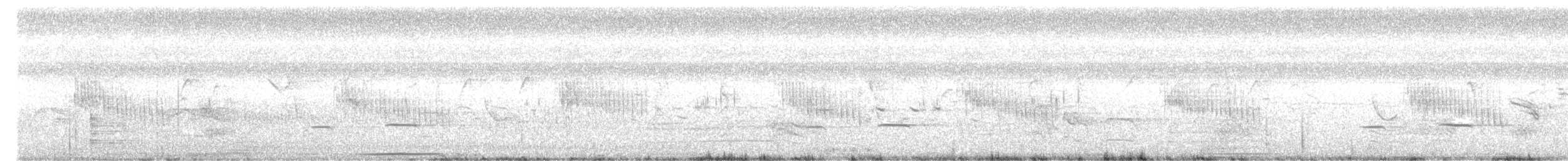 Striped Cuckoo - ML544666301