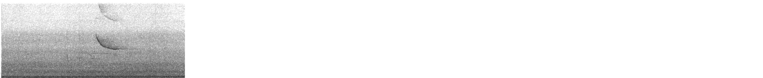 Red-winged Blackbird - ML544666651