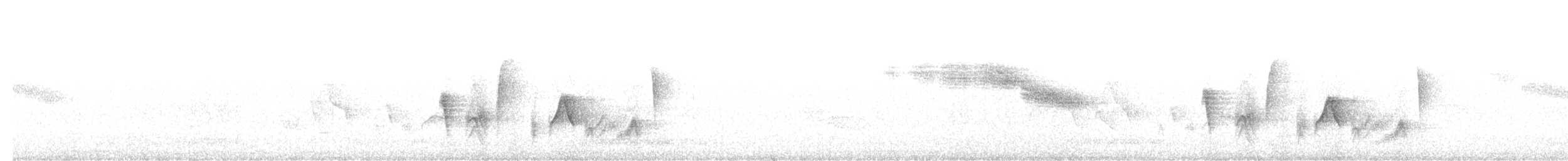 Vireo Ojiblanco - ML544693221