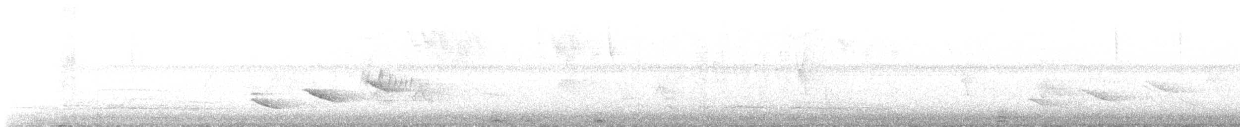 Зернолуск антильський - ML544729531