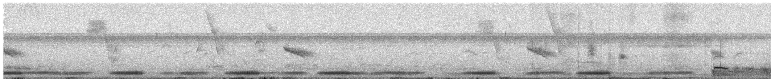 Paint-billed Crake - ML544734091