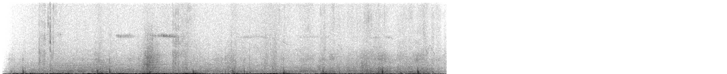 Geniş Kuyruklu Kolibri - ML544752411