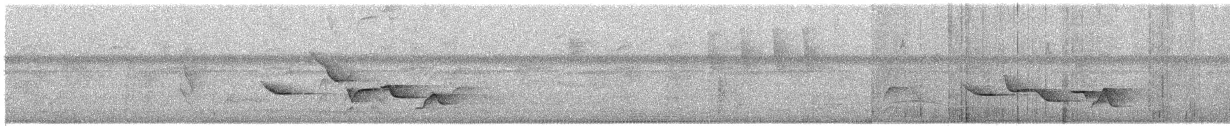Поплітник плямистий - ML544812151