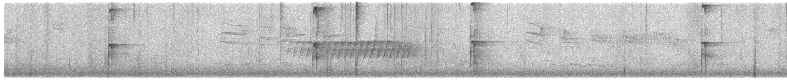 strakapoud americký - ML54490281