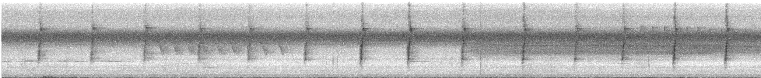 Méliphage bridé - ML544908611