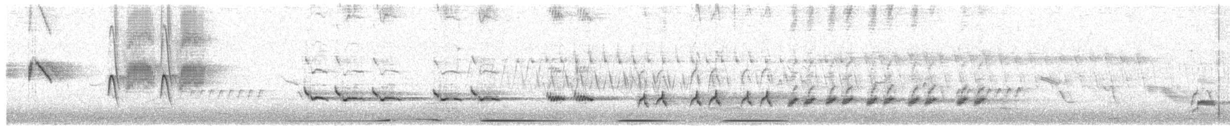 חקיינית צפונית - ML54491721