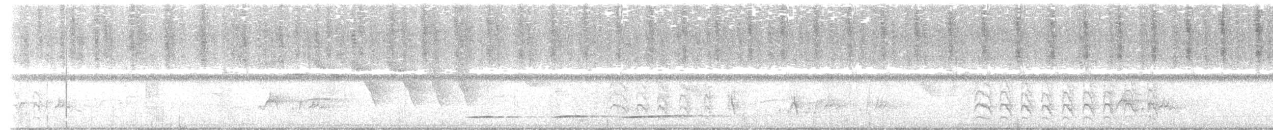Weißbrauen-Dickichtschlüpfer - ML545011001
