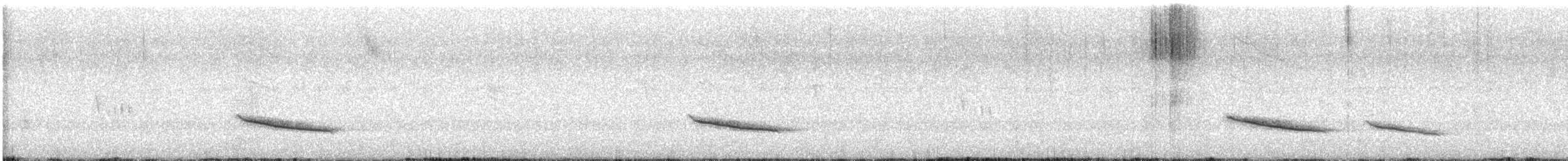 Rotmanteldrossel (rufopalliatus) - ML545022081