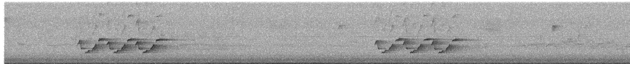 Поплітник каролінський - ML545032541