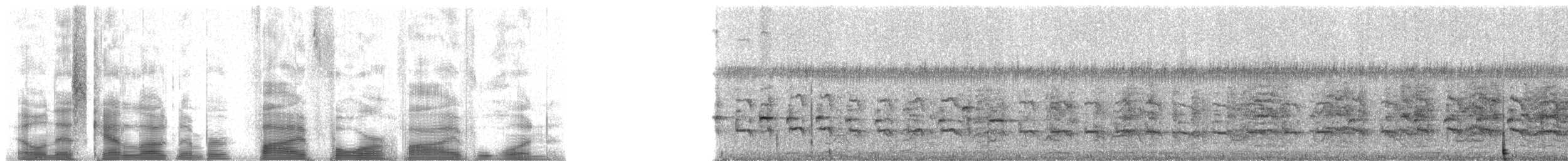 guamrikse - ML5451