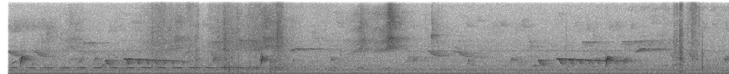 Kısa Kuyruklu Karıncaardıcı - ML545208501