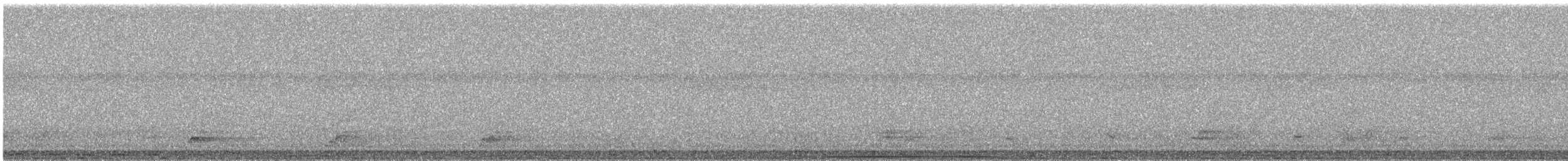 Carpophage pacifique - ML545268391