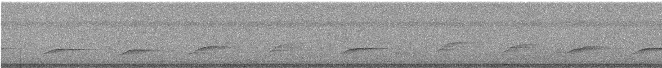 Carpophage pacifique - ML545268481