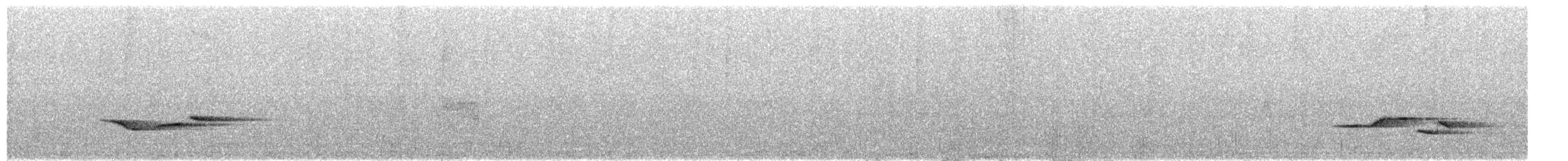 オグロコンヒタキ - ML545284681