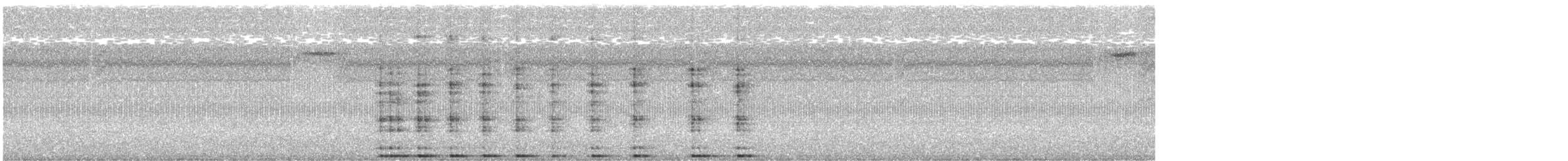 Дятел-смоктун білочеревий - ML54541521