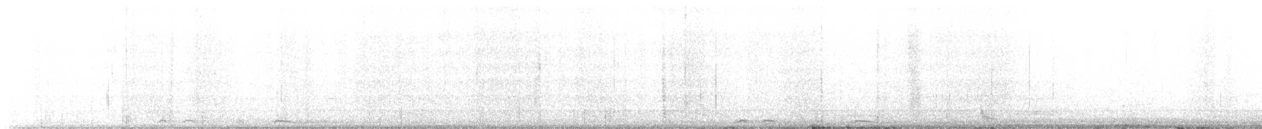 White-winged Dove - ML545470421