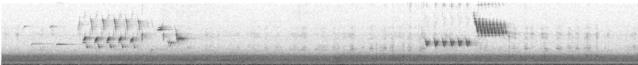 Song Sparrow - ML545517791