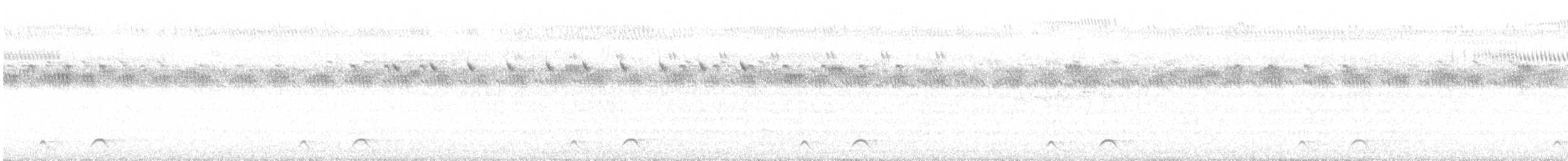 Freckled Nightjar - ML545691191