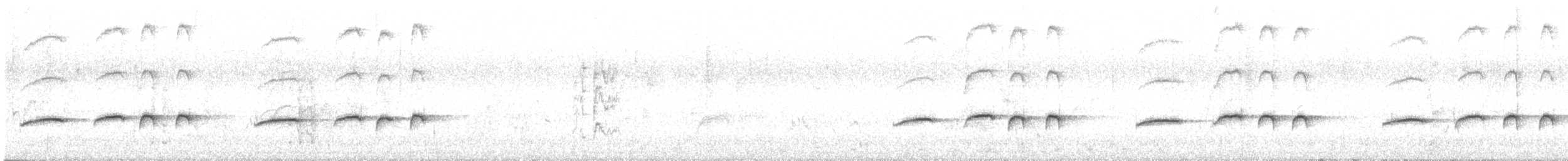 Spotted Morning-Thrush - ML545691231