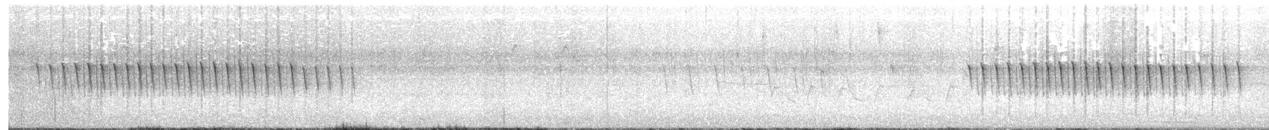 Swamp Sparrow - ML54572391