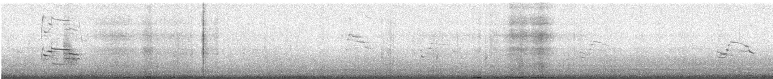 アイスランドカモメ（亜種 クムリーンカモメ） - ML545787631