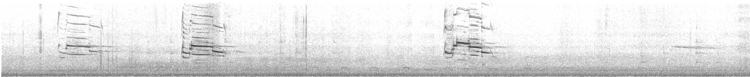 racek polární (ssp. kumlieni) - ML545791401