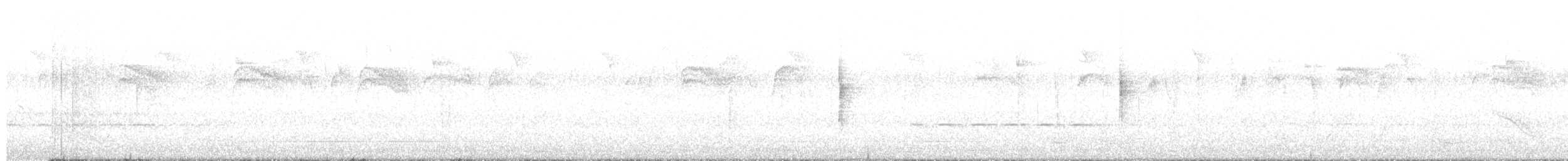 Пісняр-лісовик жовтогузий (підвид coronata x auduboni) - ML545836231