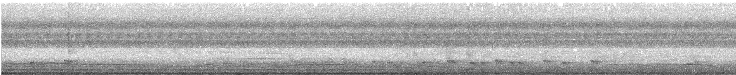 Carpophage pacifique - ML545849141
