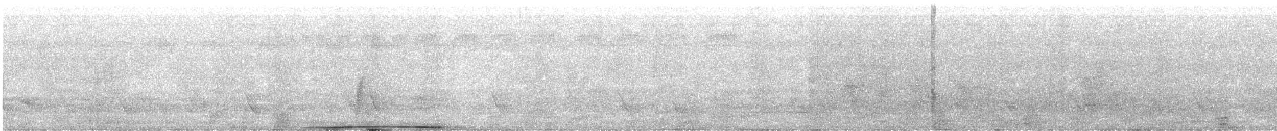 Carpophage pacifique - ML545850251
