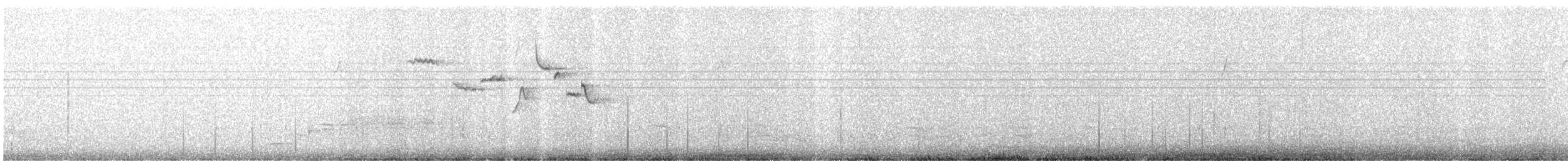 Brown Creeper - ML546114351