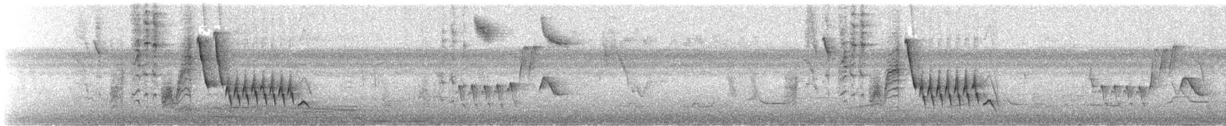 Northern/Mangrove Yellow Warbler - ML546165111
