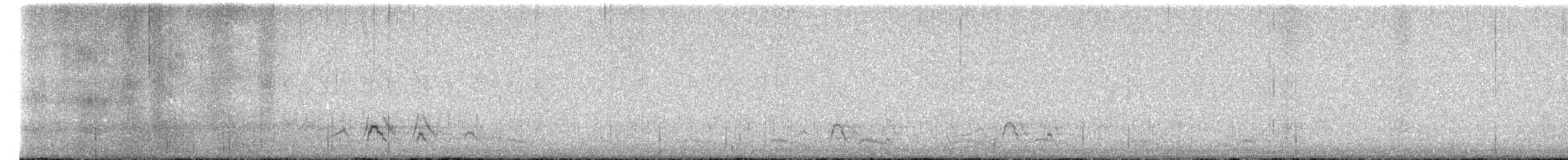 American Wigeon - ML546191671